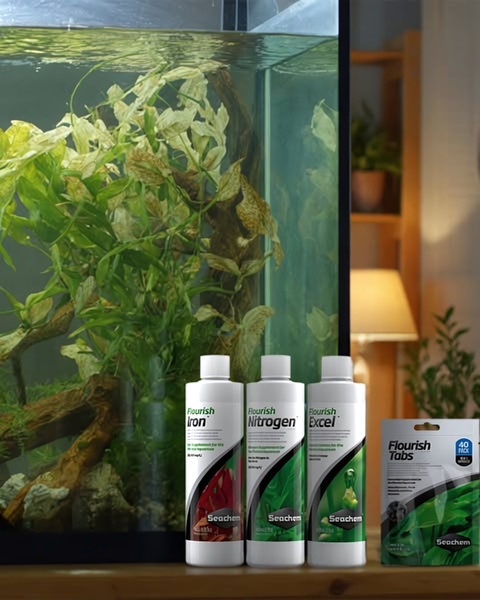 A clean, high-contrast studio shot featuring Seachem Flourish products positioned directly in front of a lush, thriving aquarium.